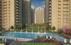 Luxury Flats